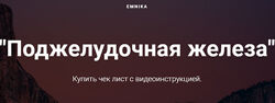 Егор Москалев - Чек-лист Поджелудочная железа