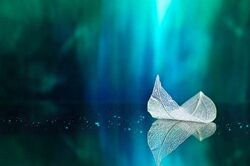 Елена Веселаго - Современные расстановки и полевая терапия