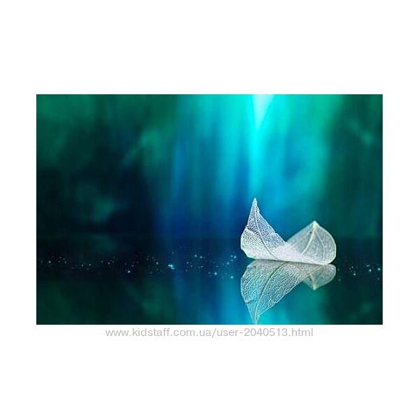 Елена Веселаго - Современные расстановки и полевая терапия