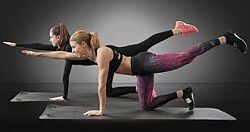 Шапочка, Воронина - Работа с вестибулярным аппаратом и анализатором