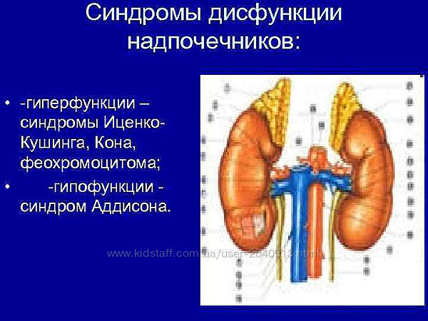 Катя Янг - Диагностика субклинической дисфункции надпочечников