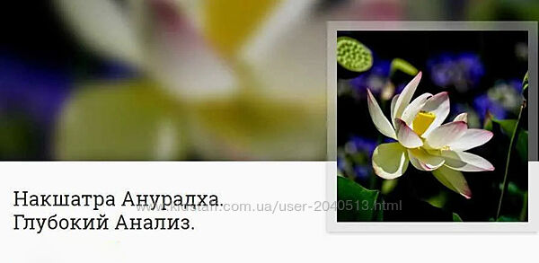 Анна Ласточкина - Митра Варуна - Накшатра Анурадха. Глубокий Анализ