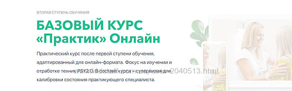 Михаил Филяев, Яна Березовская - Базовый курс Практик Онлайн