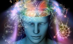 Ирина Камаева - Курсы по психологии. Семейная системная психотерапия