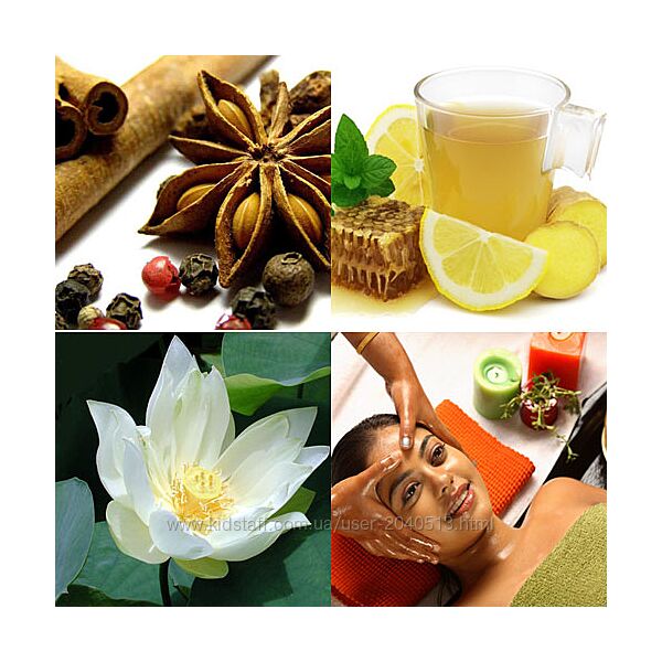 Борис Рагозин - Аюрведическая медицина 6 месяцев. Полный курс