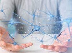 Сергей Молотков - Соматическая нервная система. Склеротомная стабилизация