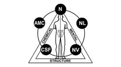 Бондаренко - Биохимия. Паразитология. Прикладная кинезиология