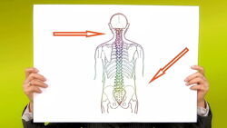 Анна Владимирова - Молодость и здоровье позвоночника