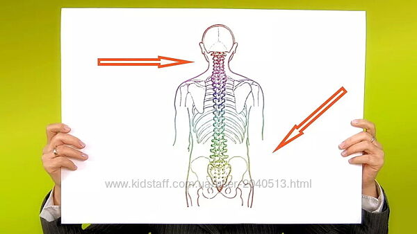 Анна Владимирова - Молодость и здоровье позвоночника