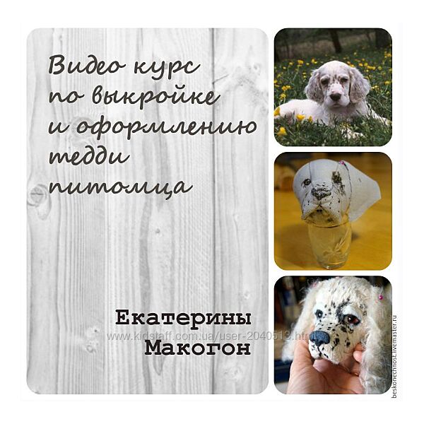 Екатерина Макогон - Видео-курс по выкройке и оформлению тедди питомца