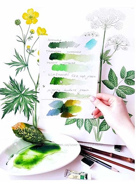 Светлана Лансе - Ботаническая живопись