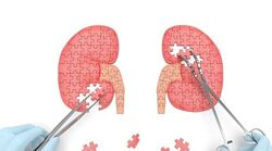 Елена Корнилова - Вебинар Цистит, Почки, Камни в почках