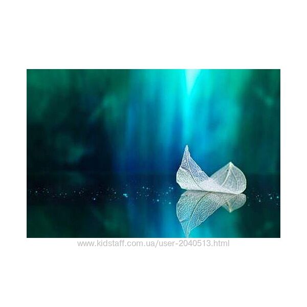 Елена Веселаго - Современные расстановки и полевая терапия