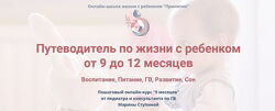 Марина Ступина -  Путеводитель по жизни с ребенком от 9 до 12 месяцев