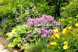 Наталья Мягкова - Курсы и лекции для устройства красивого сада по правилам