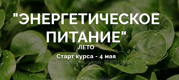 Юлия Дашевски - Энергетическое питание - блок Лето