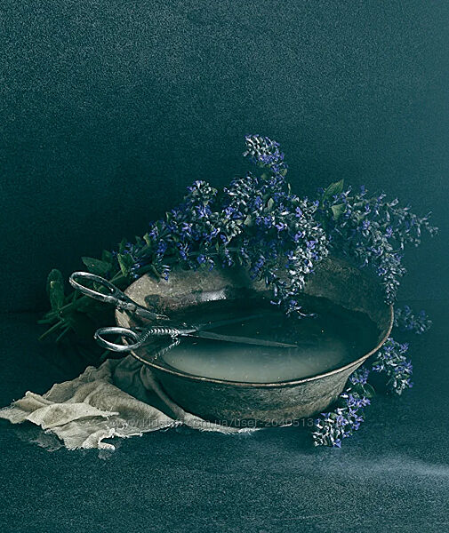 Ольга Тупоногова-Волкова - Still life в домашних условиях