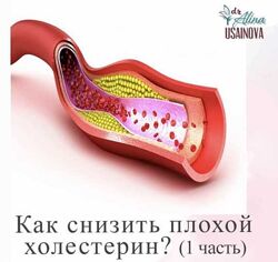 Алина Усаинова - Как снизить плохой холестерин