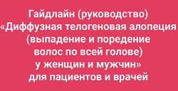 Амина Пирманова - Гайдлайн Диффузная телогеновая алопеция