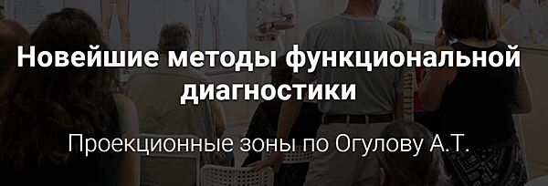 Александр Огулов - Методы функциональной диагностики в висцеральной