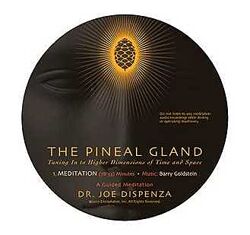 Джо Диспенза - Шишковидная железа - настройка на высшие измерения