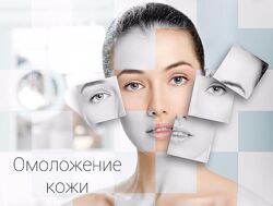 Елена Шапаренко - Революция тела