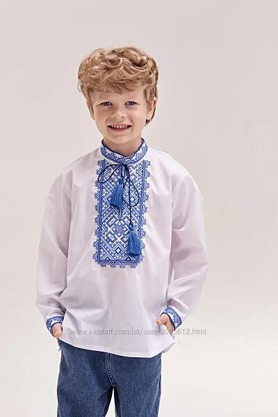 Хлопчача сорочка з синьо-блакитною вишивкою