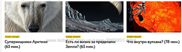  Александр Толмачев   Видеолекции об окружающем мире для детей 5 50 лекций