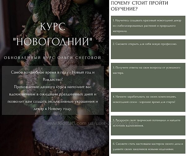 Ольга Снеговая   Новогодняя флористика новогодние игрушки  Ёлочные 
