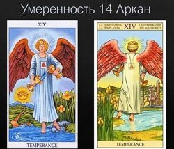 Алена Стивенс Alyona Stevens 3 курса Энциклопедия Разборов Родовые силы 