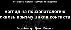 Джей Левин Взгляд на психопатологию сквозь призму цикла контакта