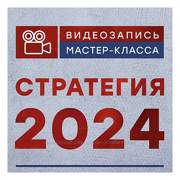 Александр Литвин Стратегия 2024  