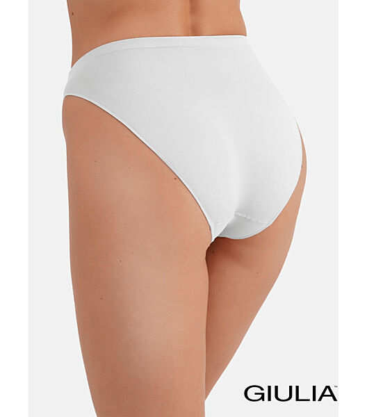 Безшовні жіночі трусики HI-LEG BRIEFS