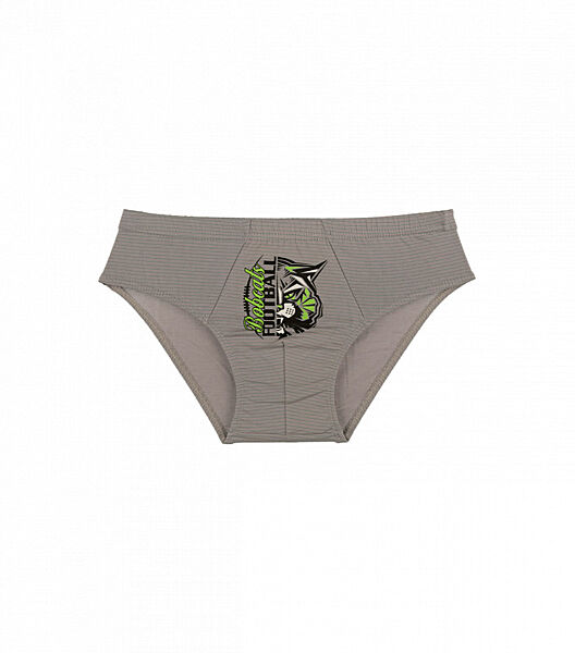 Трусидля хлопчиказ малюнком