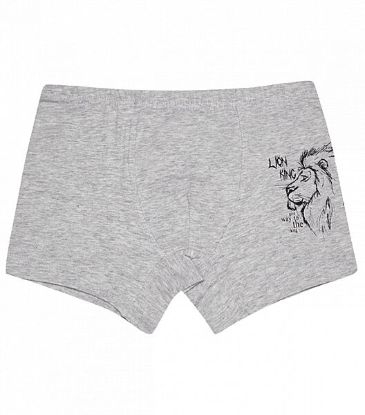 Підліткові труси боксери з принтом LION KING