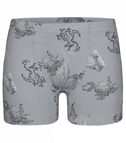 Дитячітрусибоксери для хлопчика з малюнком Динозавр