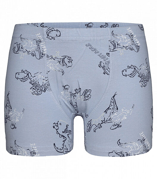 Дитячітрусибоксери для хлопчика з малюнком Динозавр