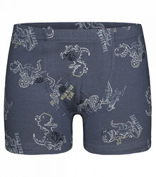 Дитячітрусибоксери для хлопчика з малюнком Динозавр