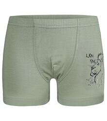 Дитячітрусибоксери для хлопчика з принтом LION KING