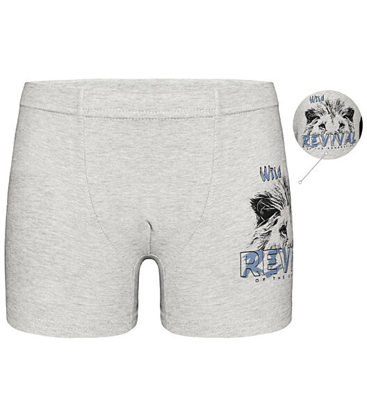 Дитячітрусибоксери для хлопчика з принтом Лев