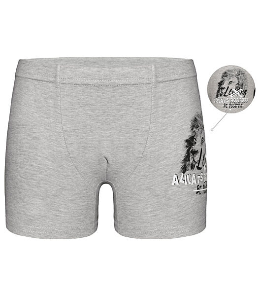 Дитячітрусибоксери для хлопчика з принтом Лев
