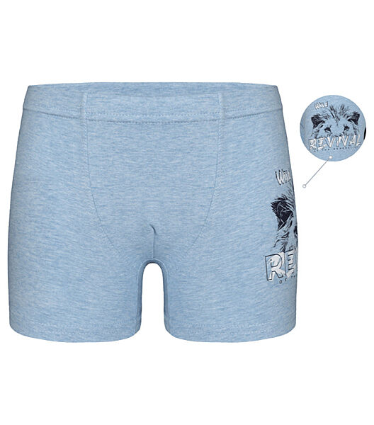 Дитячітрусибоксери для хлопчика з принтом Лев