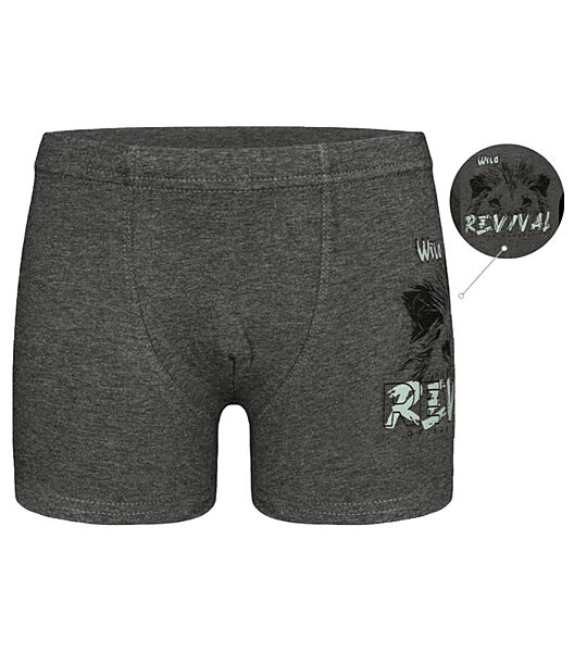 Дитячітрусибоксери для хлопчика з принтом Лев