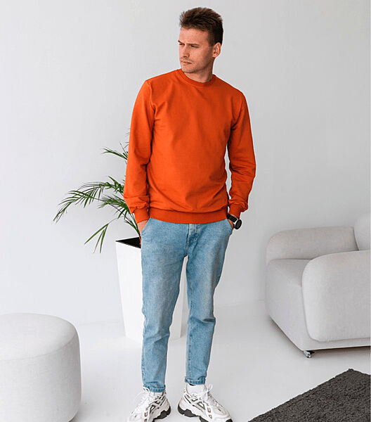 Однотонний чоловічий світшот