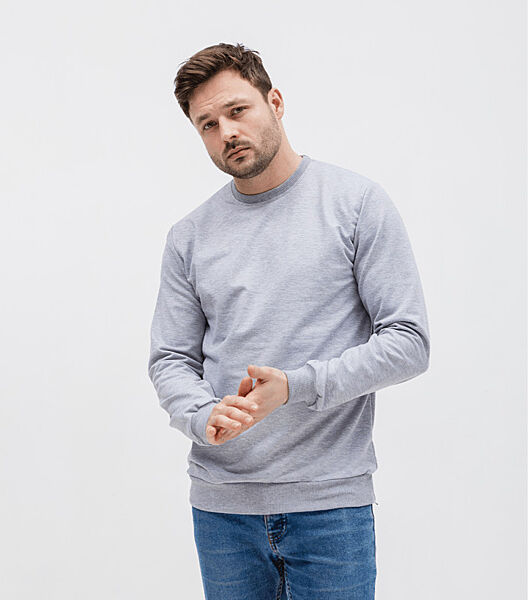 Однотонний чоловічий світшот