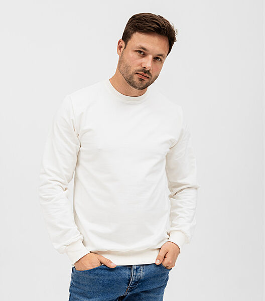 Однотонний чоловічий світшот