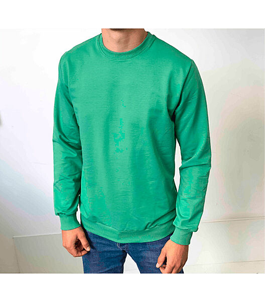 Однотонний чоловічий світшот