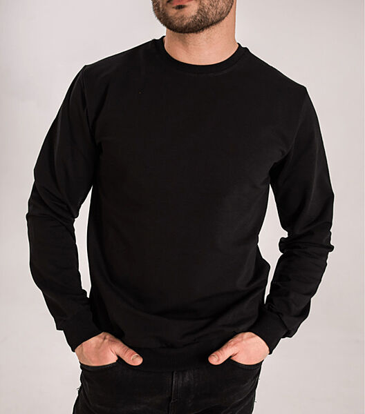 Однотонний чоловічий світшот