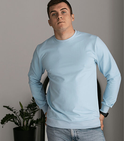 Однотонний чоловічий світшот