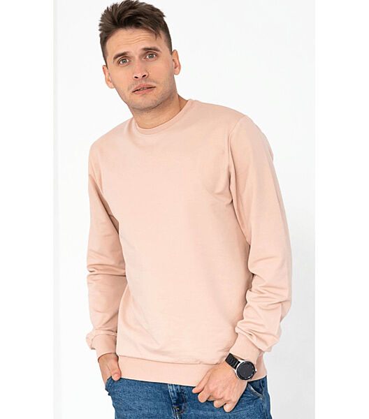 Однотонний чоловічий світшот